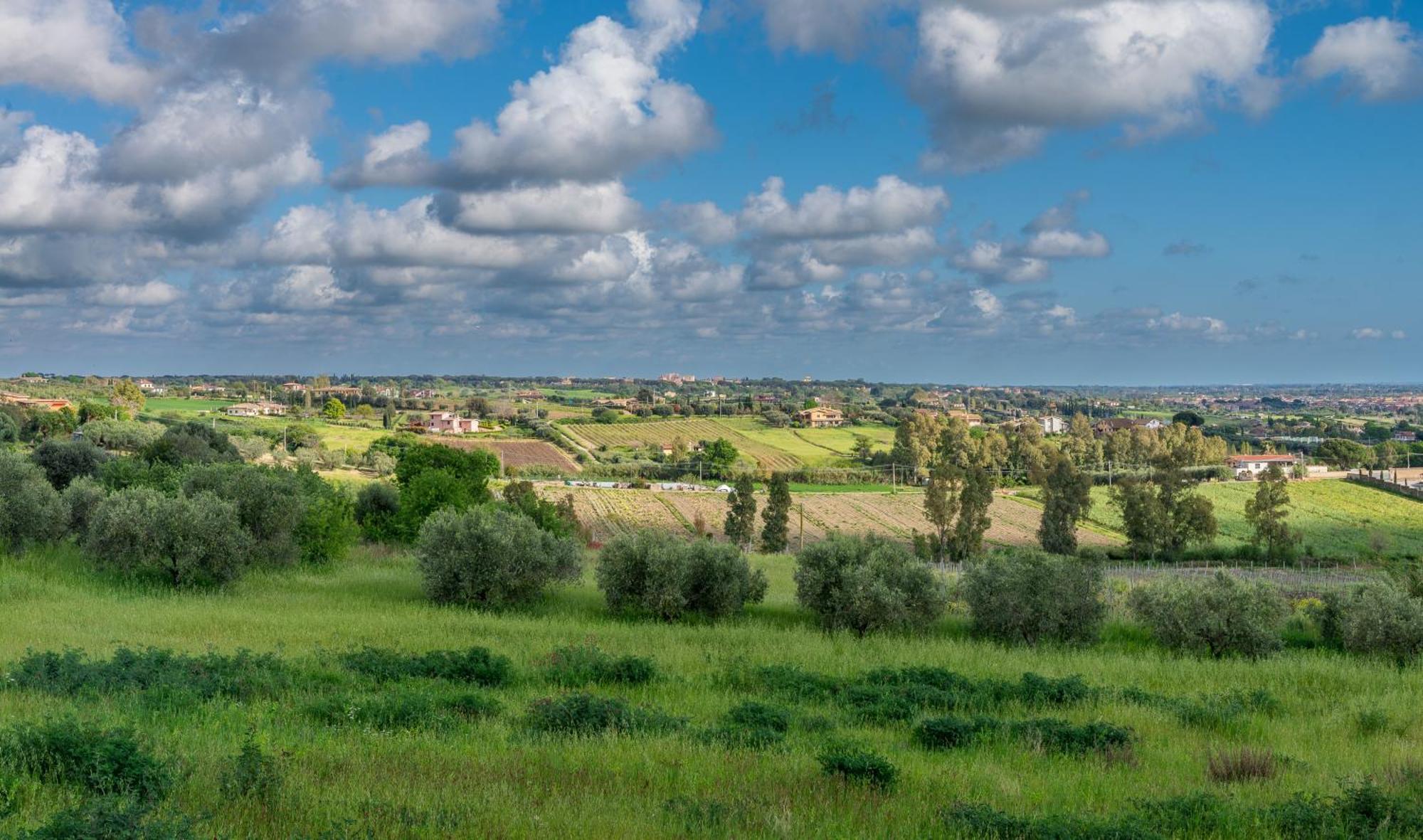 Villa Gli Eucalipti Cerveteri Kültér fotó